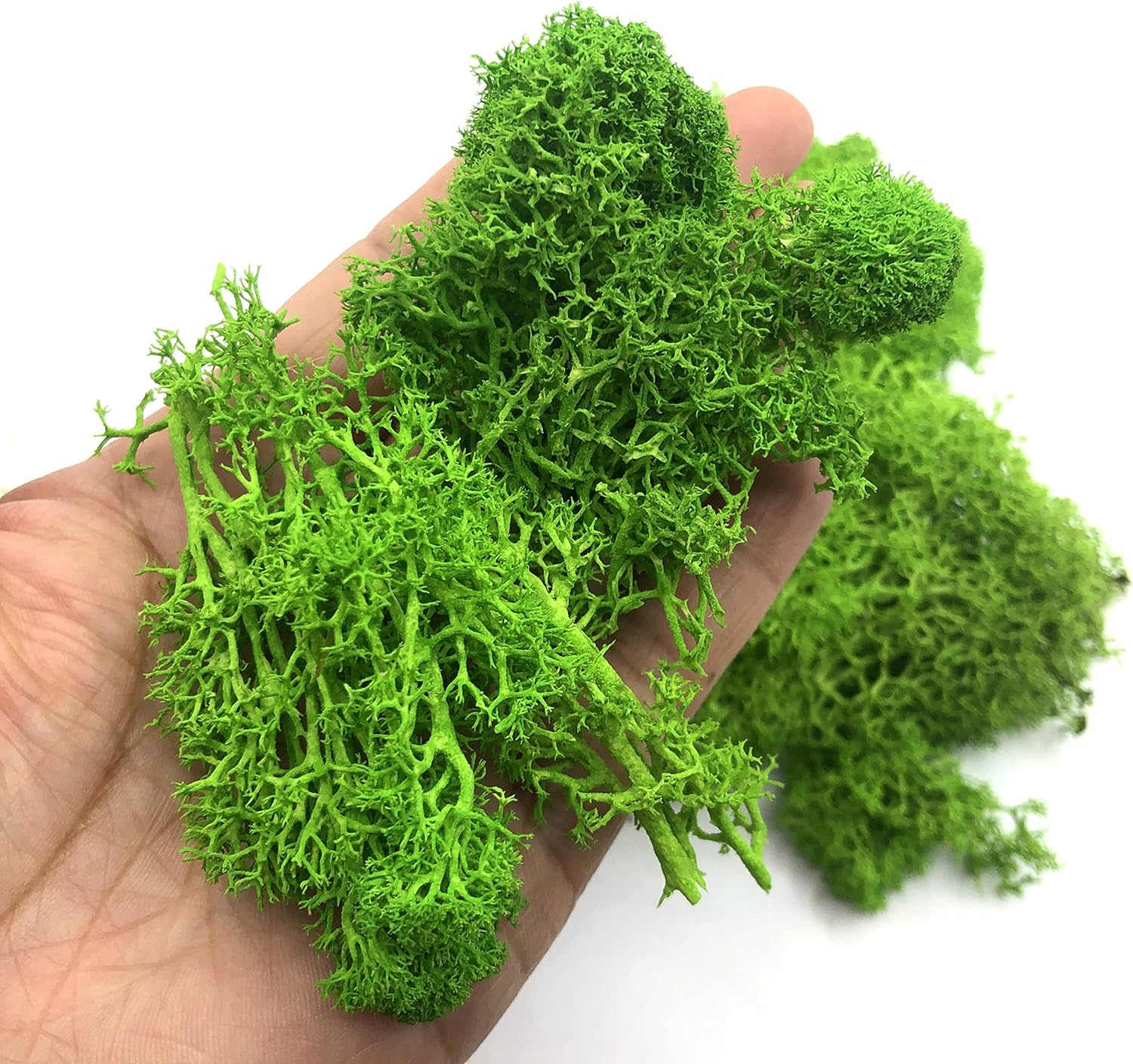 Sphagnum Moss Dry - 200 جرام نباتات خضراء اصطناعية منظر