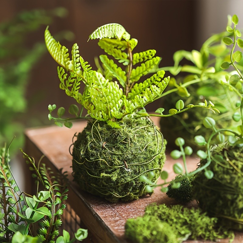 وعاء طحالب صناعية، حاوية نباتا - مراجعة Sphagnum Moss Dry وسعره