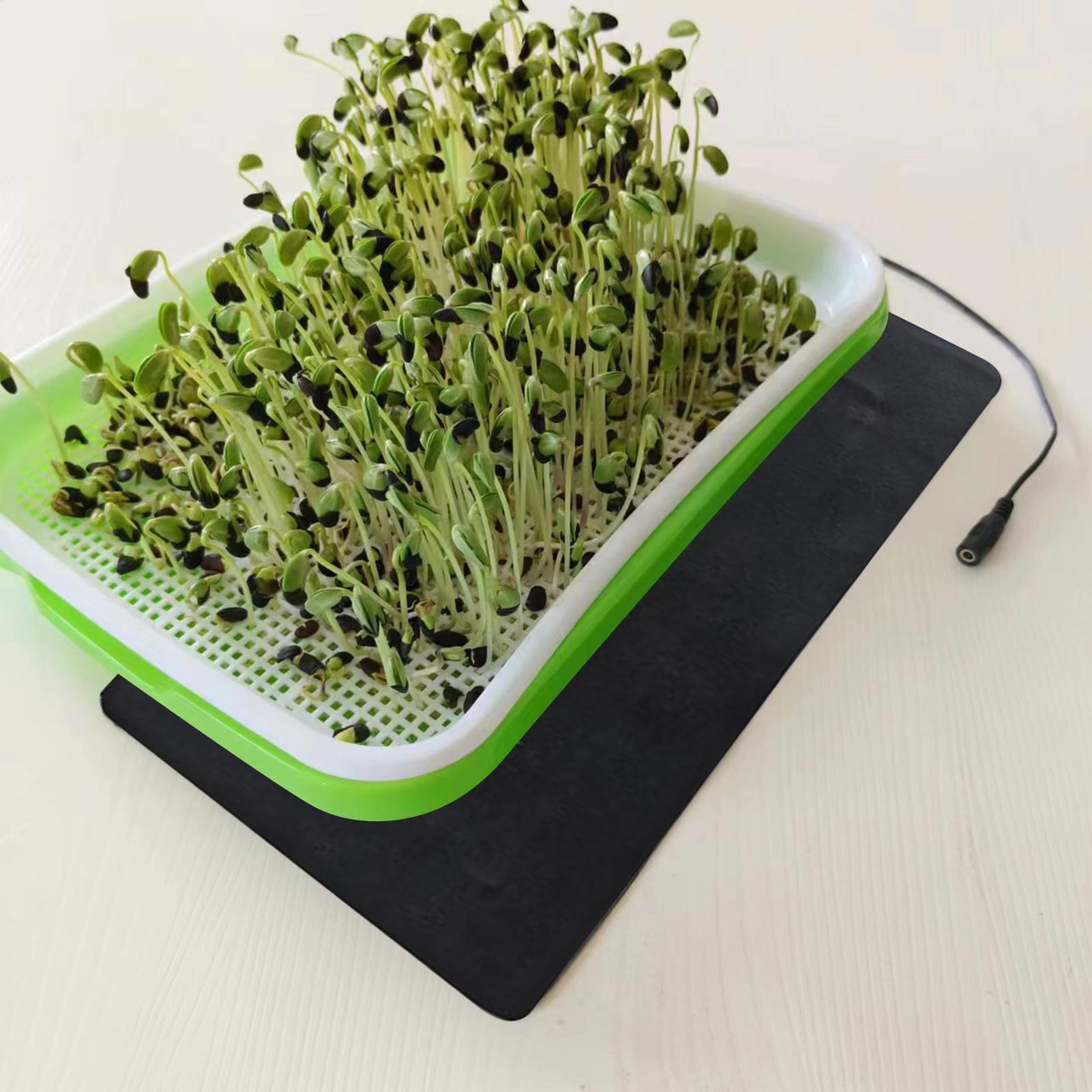 سجادة تسخين للشتلات بقوة 8.5 و - مراجعة Heat Mat Seedling وسعره