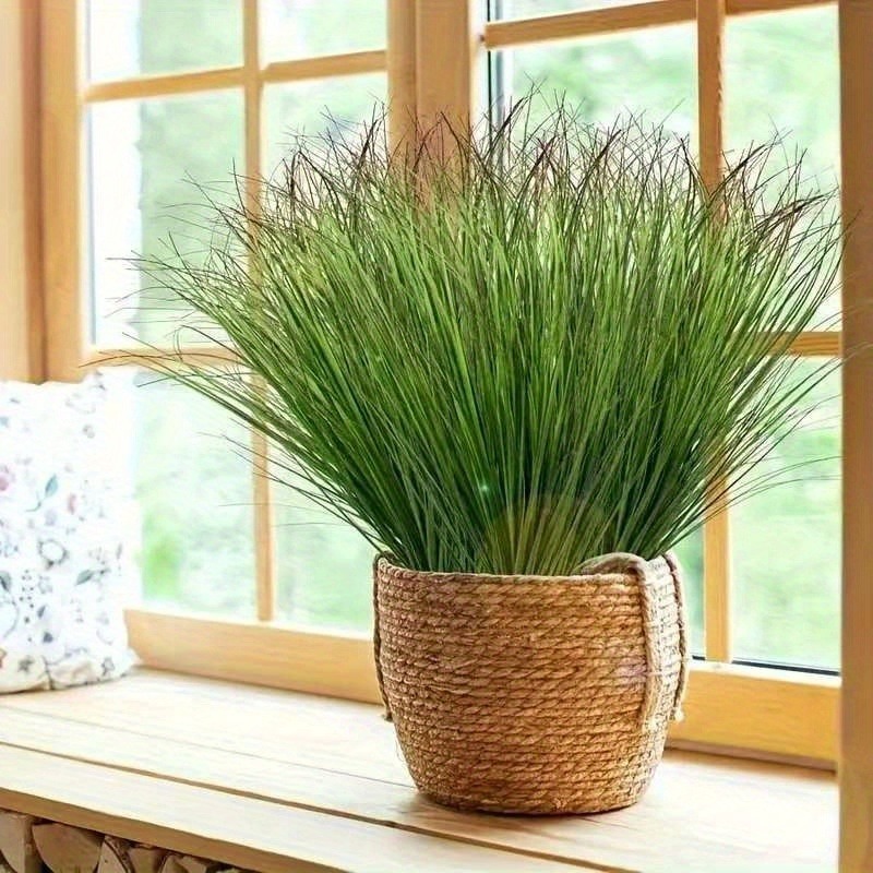 12/28 قطعة من النباتات الخضراء - مراجعة Sphagnum Moss Dry وسعره
