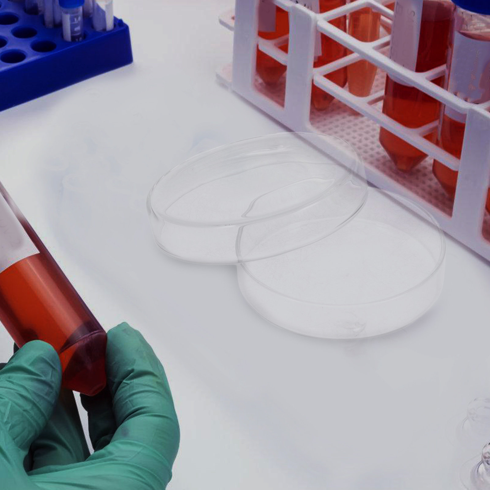 طبق بتري من زجاج البورسليكات ا - مراجعة Agar Tissue Culture وسعره
