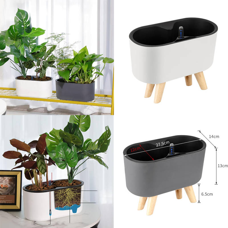 نبات داخلي مع مؤشر خشبي الساق  - مراجعة Self Watering Insert وسعره
