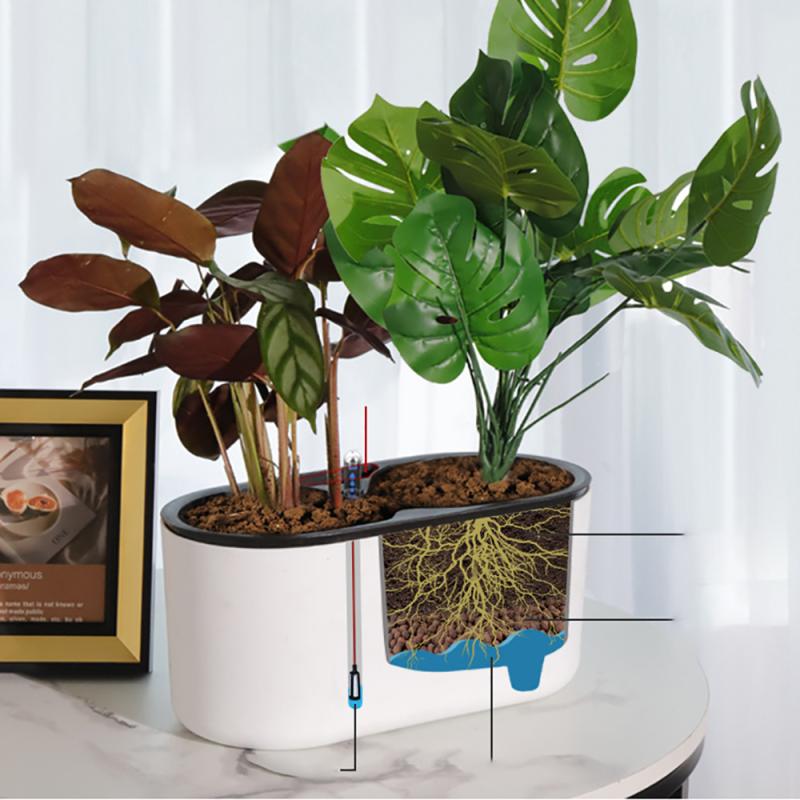 نبات داخلي مع مؤشر خشبي الساق  - مراجعة Self Watering Insert وسعره