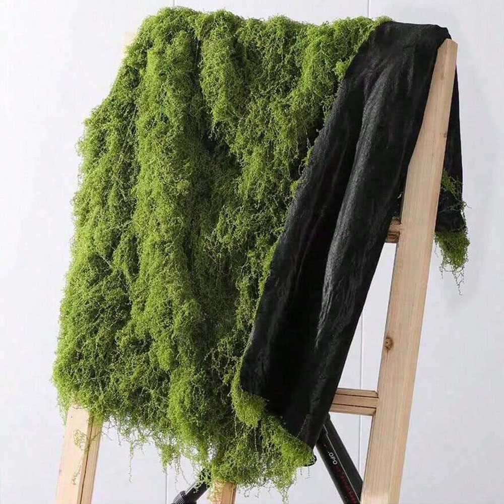 1*1 متر الطحلب وهمية Crafts به - مراجعة Sphagnum Moss Dry وسعره