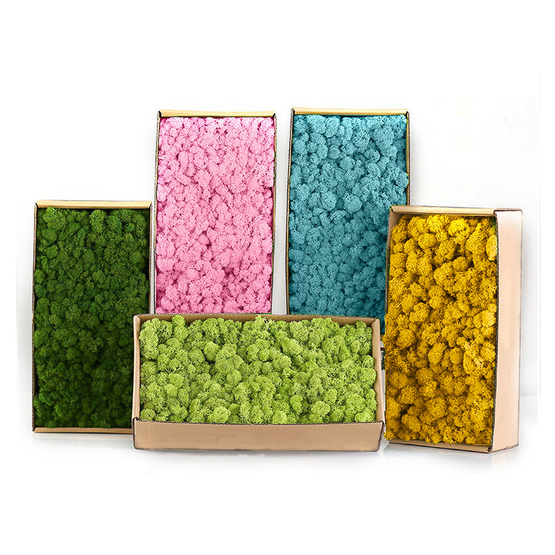 نباتات خضراء اصطناعية، منظر طب - مراجعة Sphagnum Moss Dry وسعره